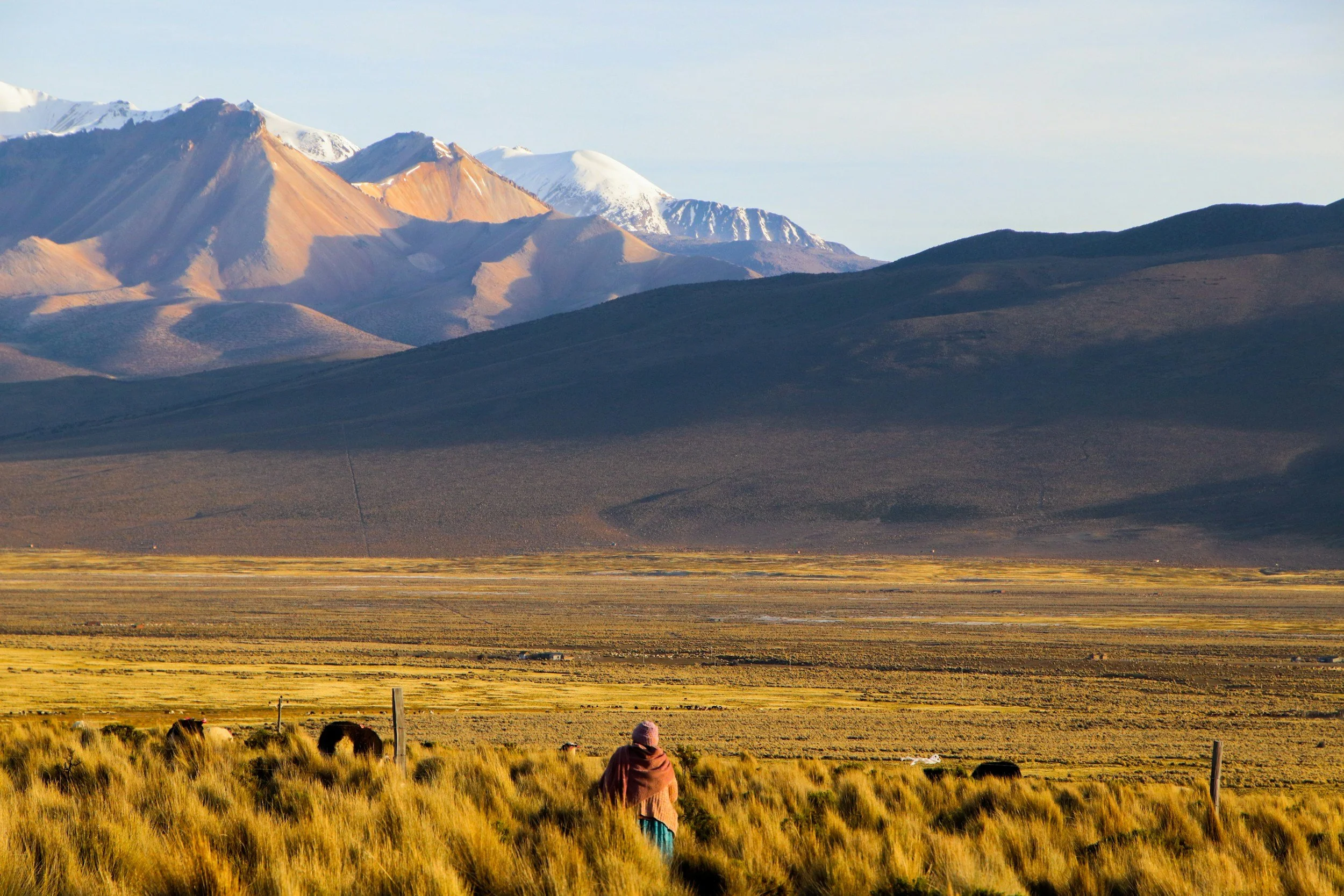 Paysage de montagnes avec sommets enneigés, plains verdoyants et un ciel clair, avec deux personnes assises dans l'herbe au premier plan.