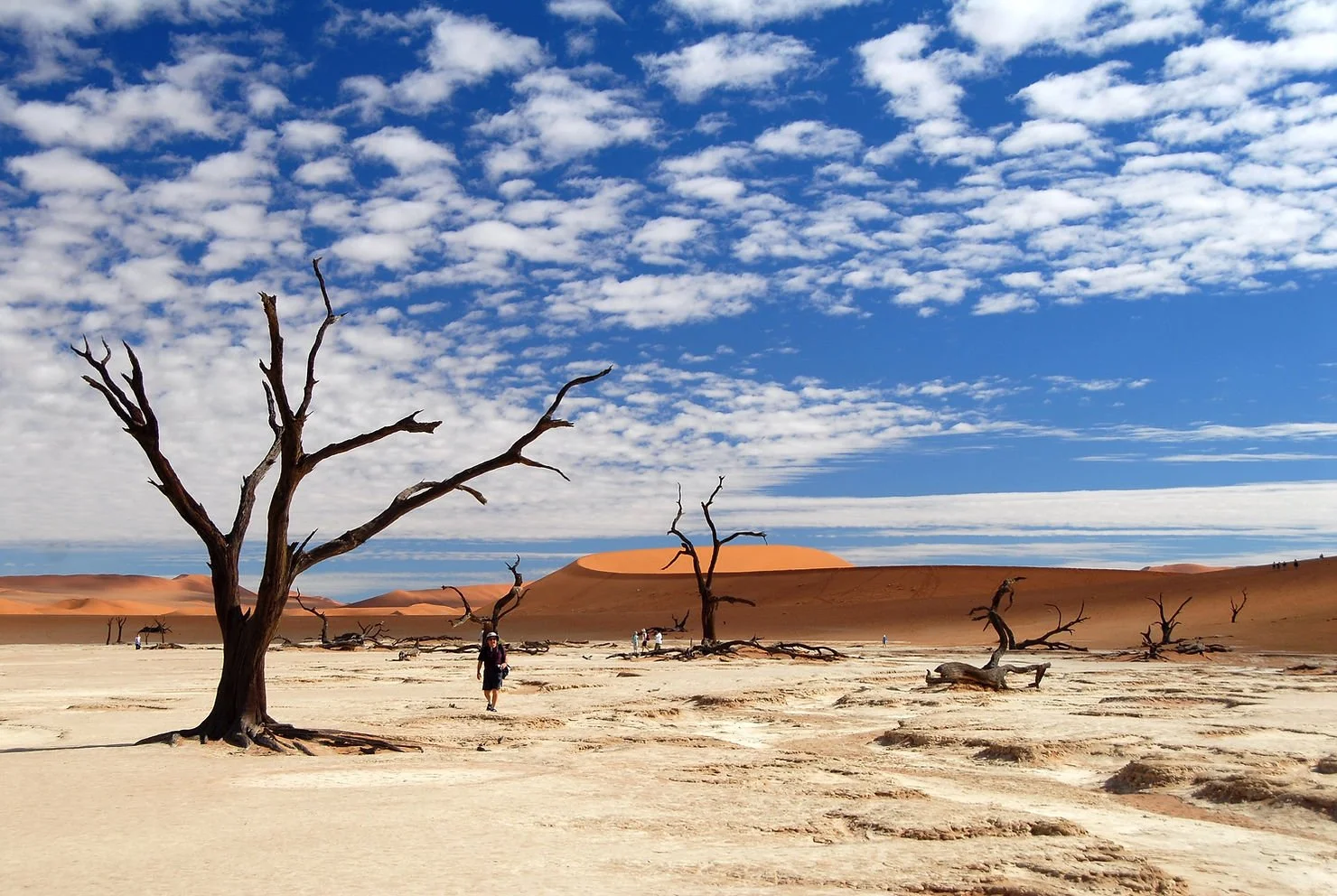 Aventure et voyage : 5 itinéraires pour contenter l'aventurier en vous