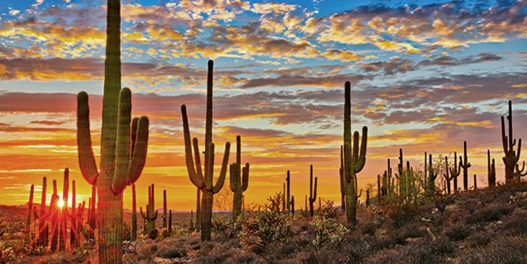 Visitez les États-Unis autrement