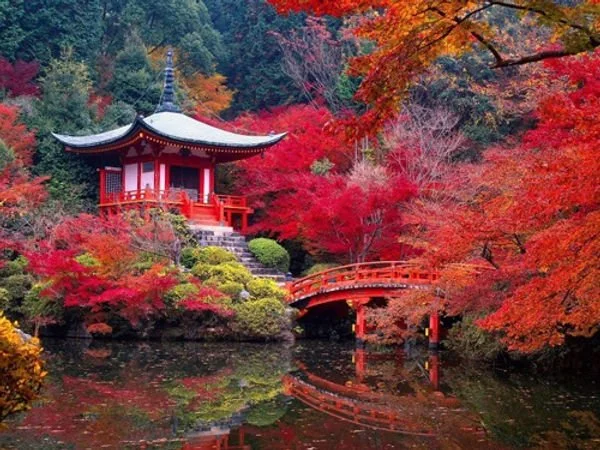 La visite des Jardins Zen au Japon
