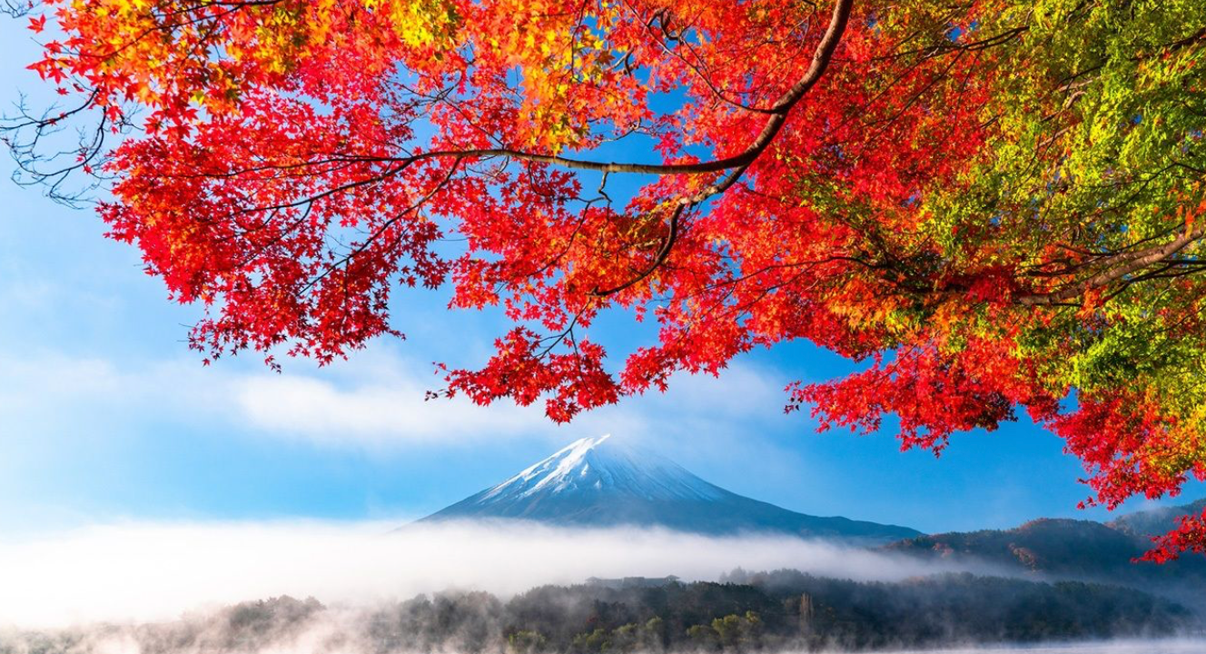 VOYAGE D’AUTOMNE AU JAPON