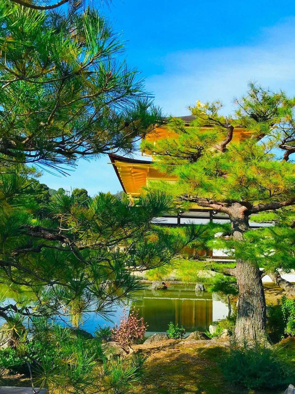 Vous rêvez d'un voyage au Japon ? Choisissez le voyage qui vous convient !