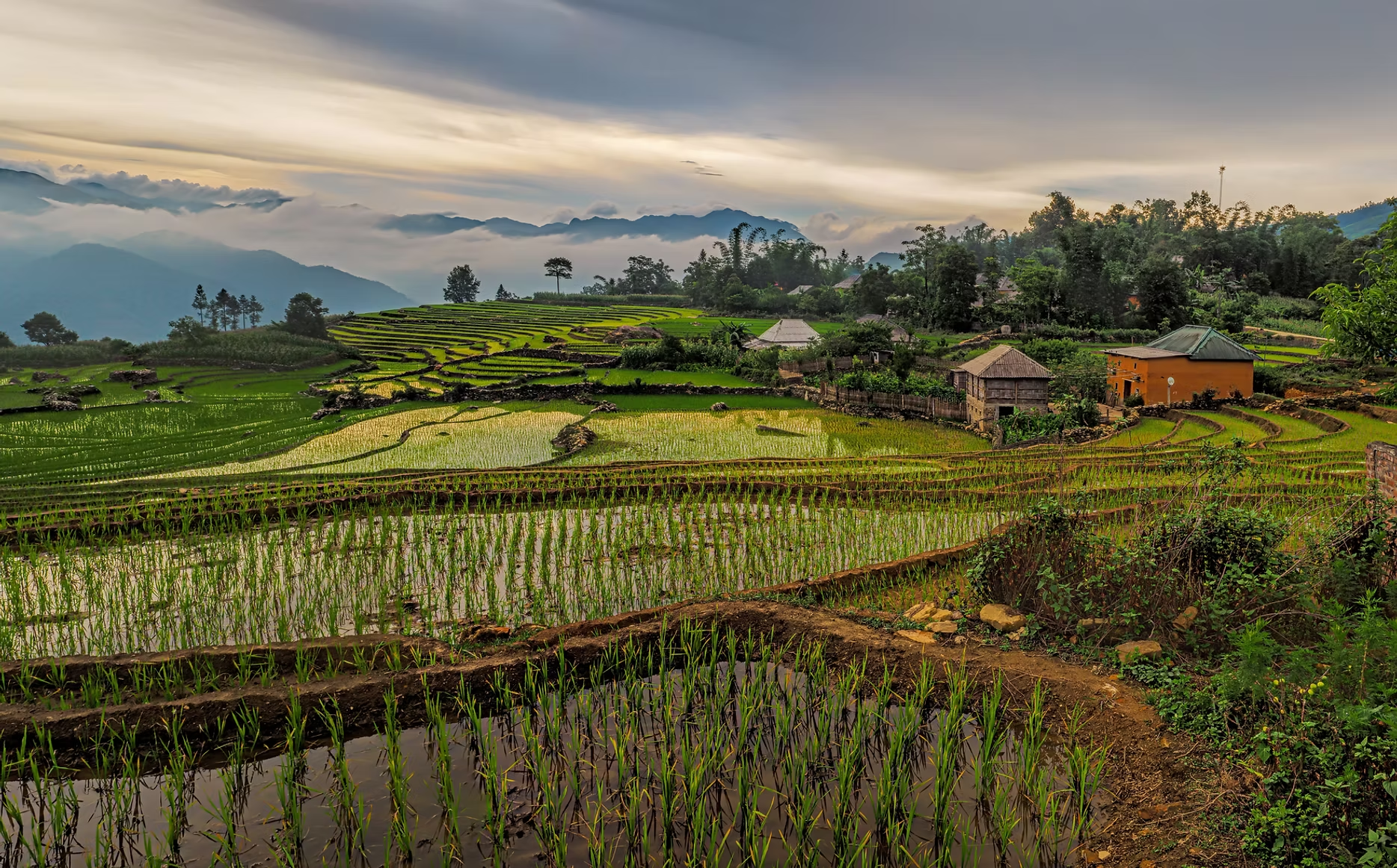 Terrasses agricoles verdoyantes dans une région montagneuse avec des maisons en arrière-plan, sous un ciel nuageux.