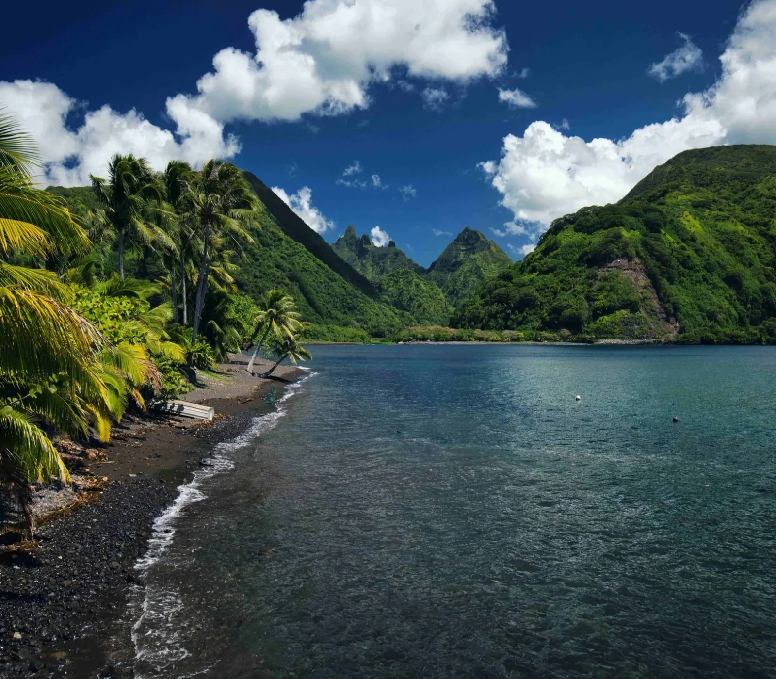 Paysage de montagne verdoyante avec une plage de galets noirs, des palmiers, un étang ou une mer calme et un ciel bleu avec des nuages blancs.