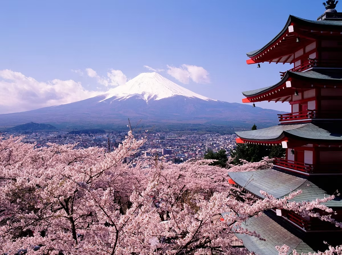 Mont Fuji avec un sommet enneigé, cerisiers en fleurs roses, une pagode japonaise rouge à plusieurs étages et un ciel bleu avec quelques nuages.