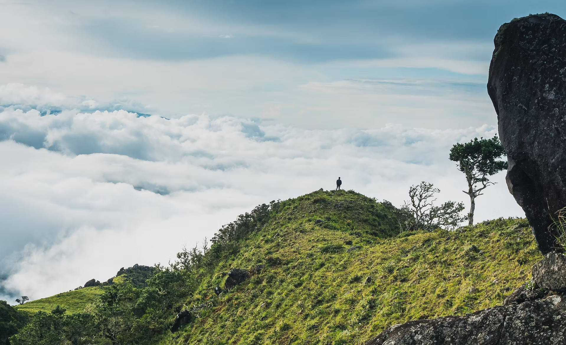 Personne debout sur une colline verdoyante entourée d'arbres, avec un ciel nuageux et une montagne en arrière-plan.