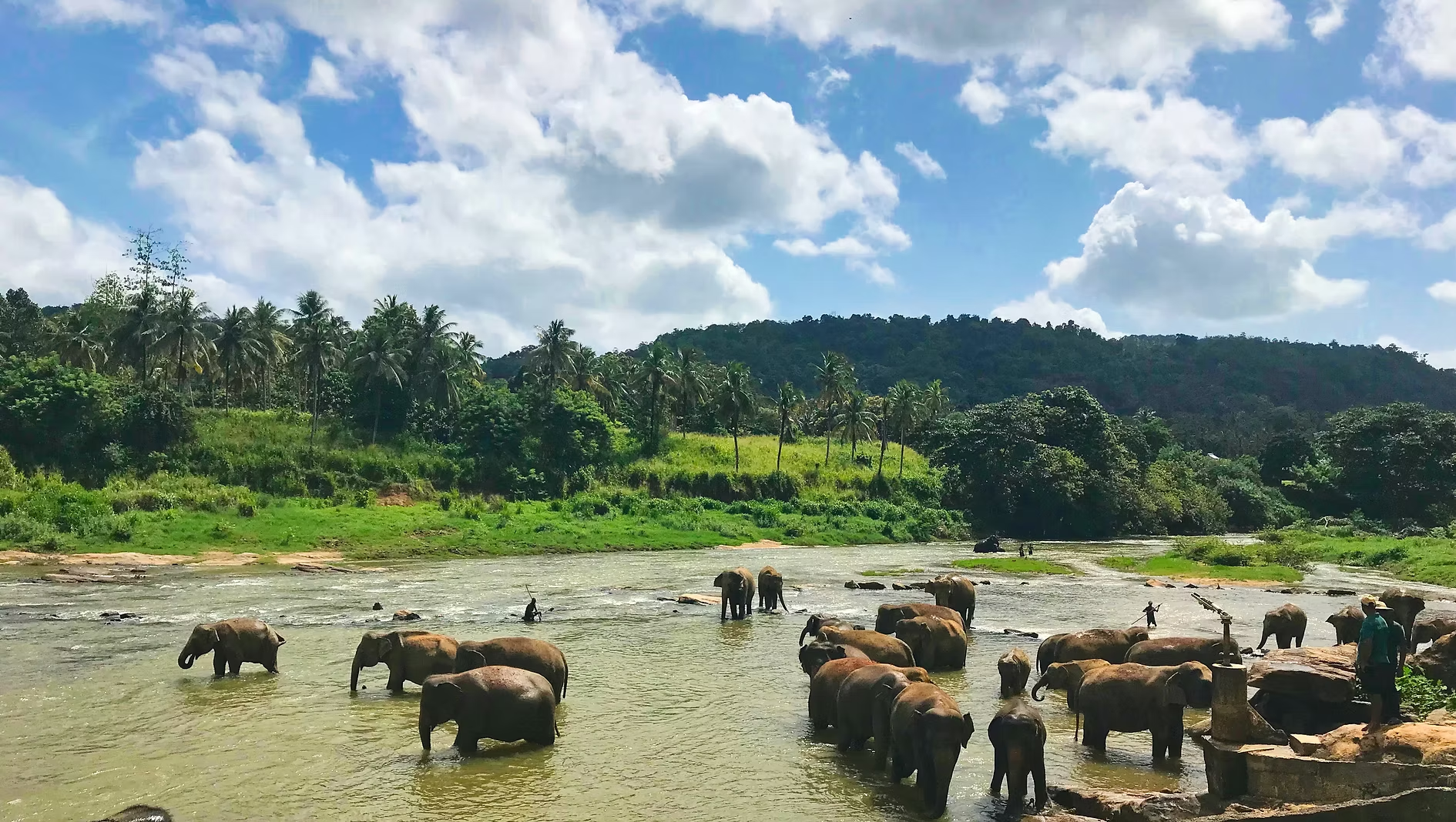 Un groupe d'éléphants dans une rivière entourée de végétation luxuriante et de collines. Ciel partiellement nuageux.