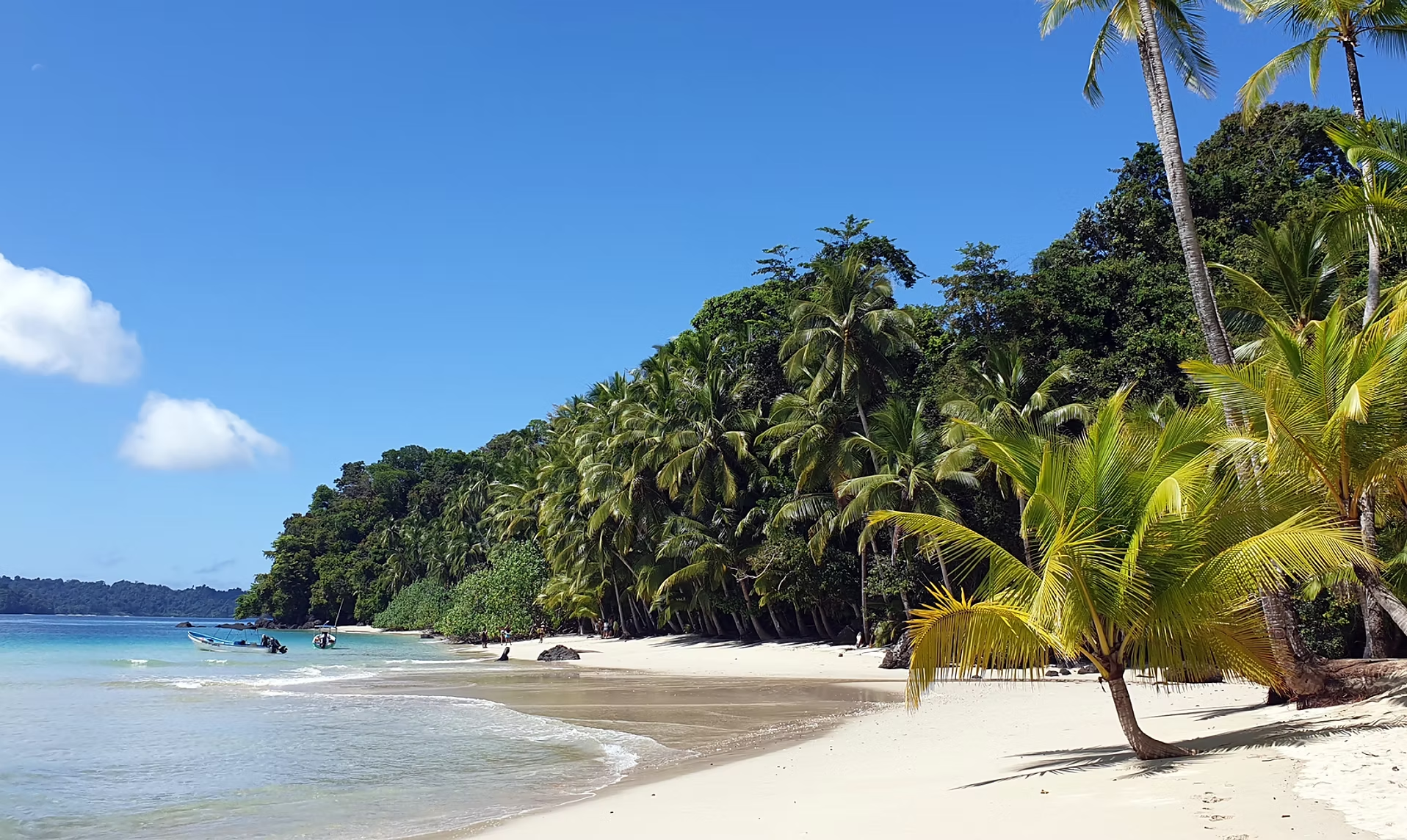 Plage de sable blanc bordée de palmiers, avec deux bateaux dans l'eau claire et un ciel bleu en arrière-plan.