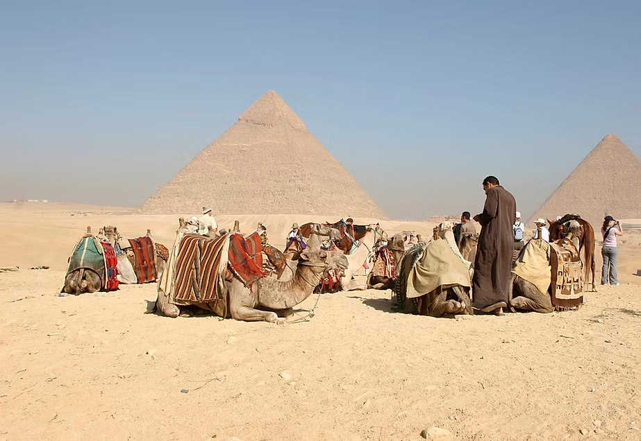 Groupes de touristes avec des chameaux dans le désert près des pyramides de Gizeh en Egypte.