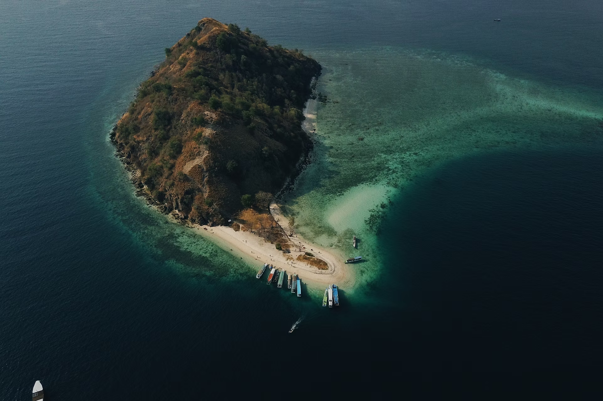 Île avec une petite plage, un enclos, des arbres, et des bateaux amarrés dans une baie.