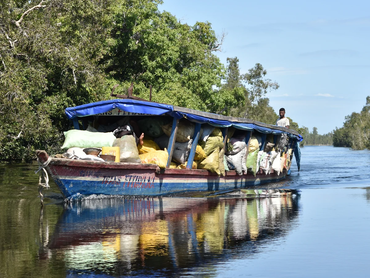 Un bateau chargé de sacs traverse une rivière bordée d'arbres. Un homme se tient à l'arrière du bateau.