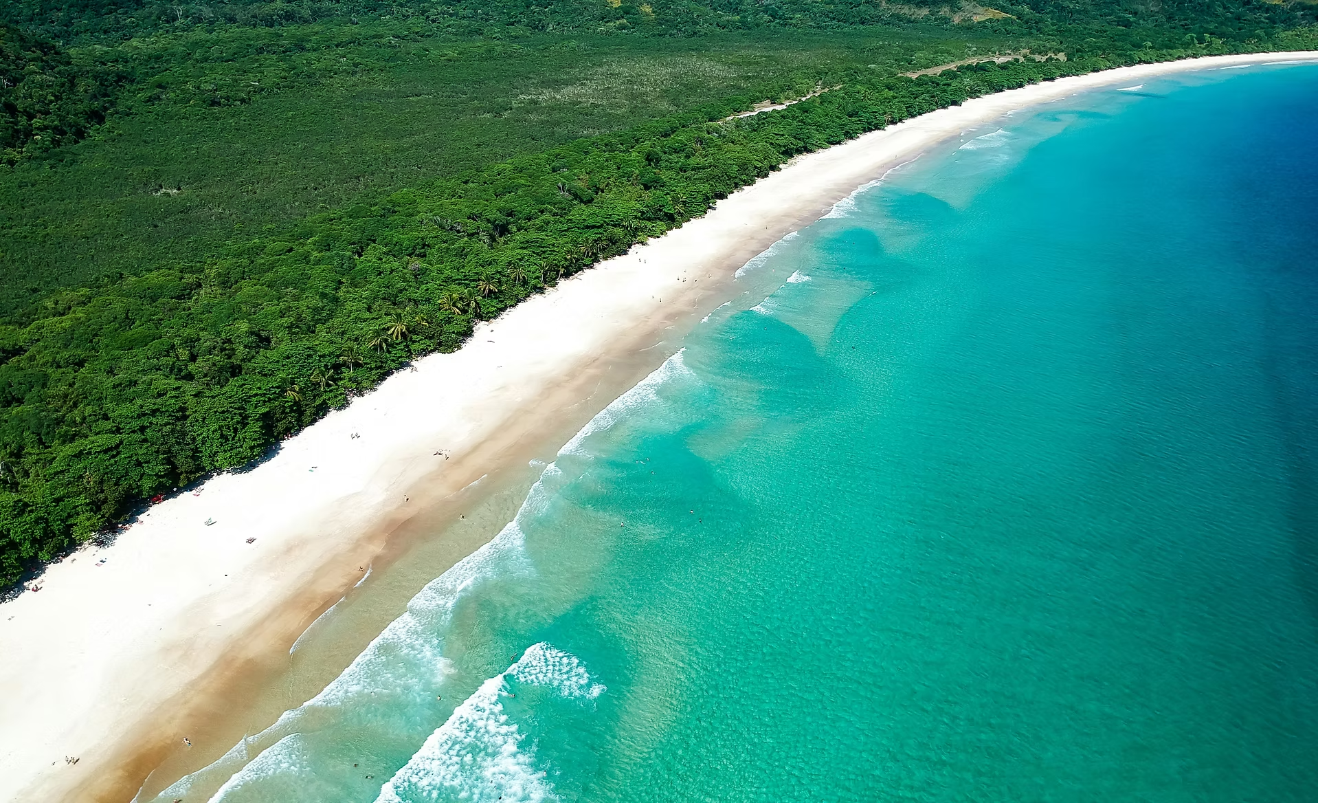 Plage de sable blanc bordée d'une forêt dense avec des eaux turquoise calmes.