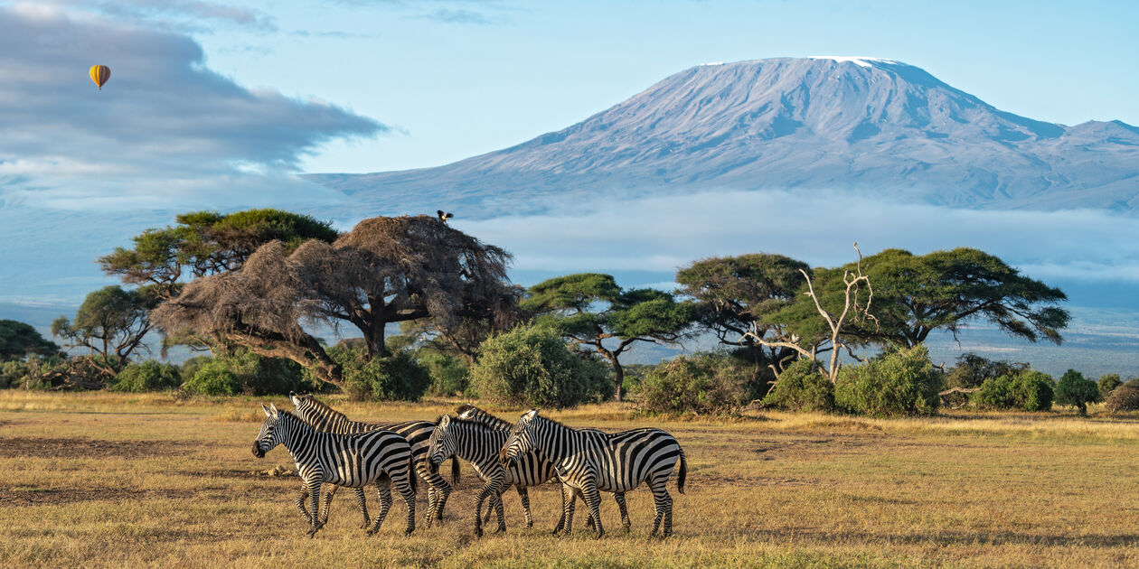 Paysage de savane avec des zèbres au premier plan, arbres et montagne en arrière-plan, dans une matinée ensoleillée.