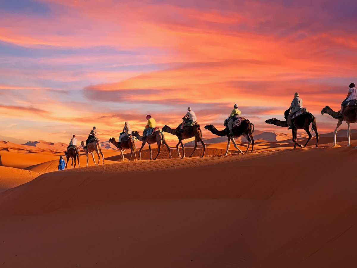 Groupe de touristes à dos de chameau traversant un désert au coucher du soleil.
