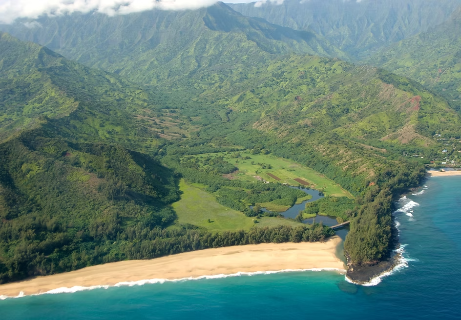 Paysage côtier avec plage de sable doré, mer turquoise, forêts denses et montagnes vertes en arrière-plan.