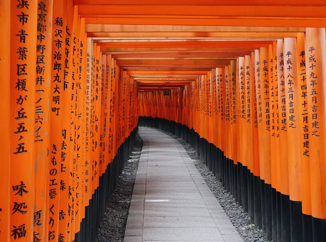 Allée de torii orange avec inscriptions en japonais, formant un tunnel vers un sanctuaire