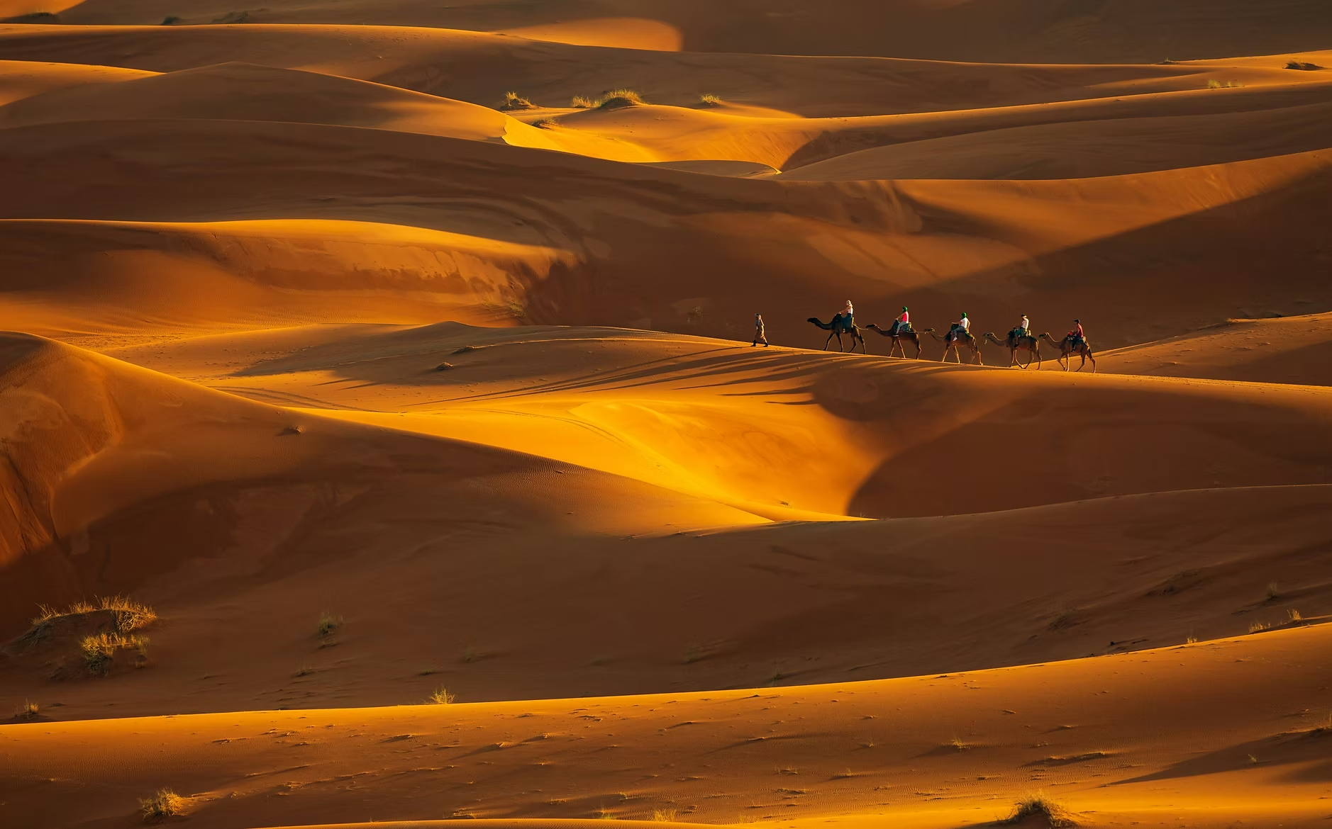 Un groupe de personnes en caravane dans le désert, traversant des dunes de sable doré au coucher du soleil.