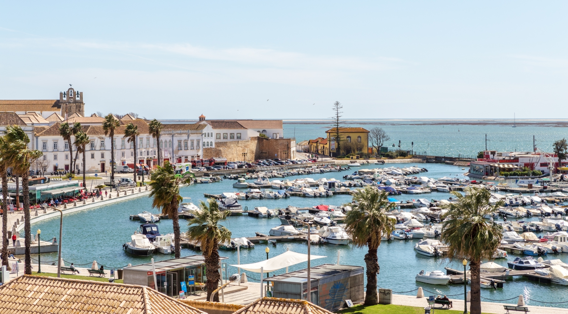 Port de plaisance avec de nombreux bateaux, palmier, bâtiments historiques et océan en arrière-plan sous ciel clair