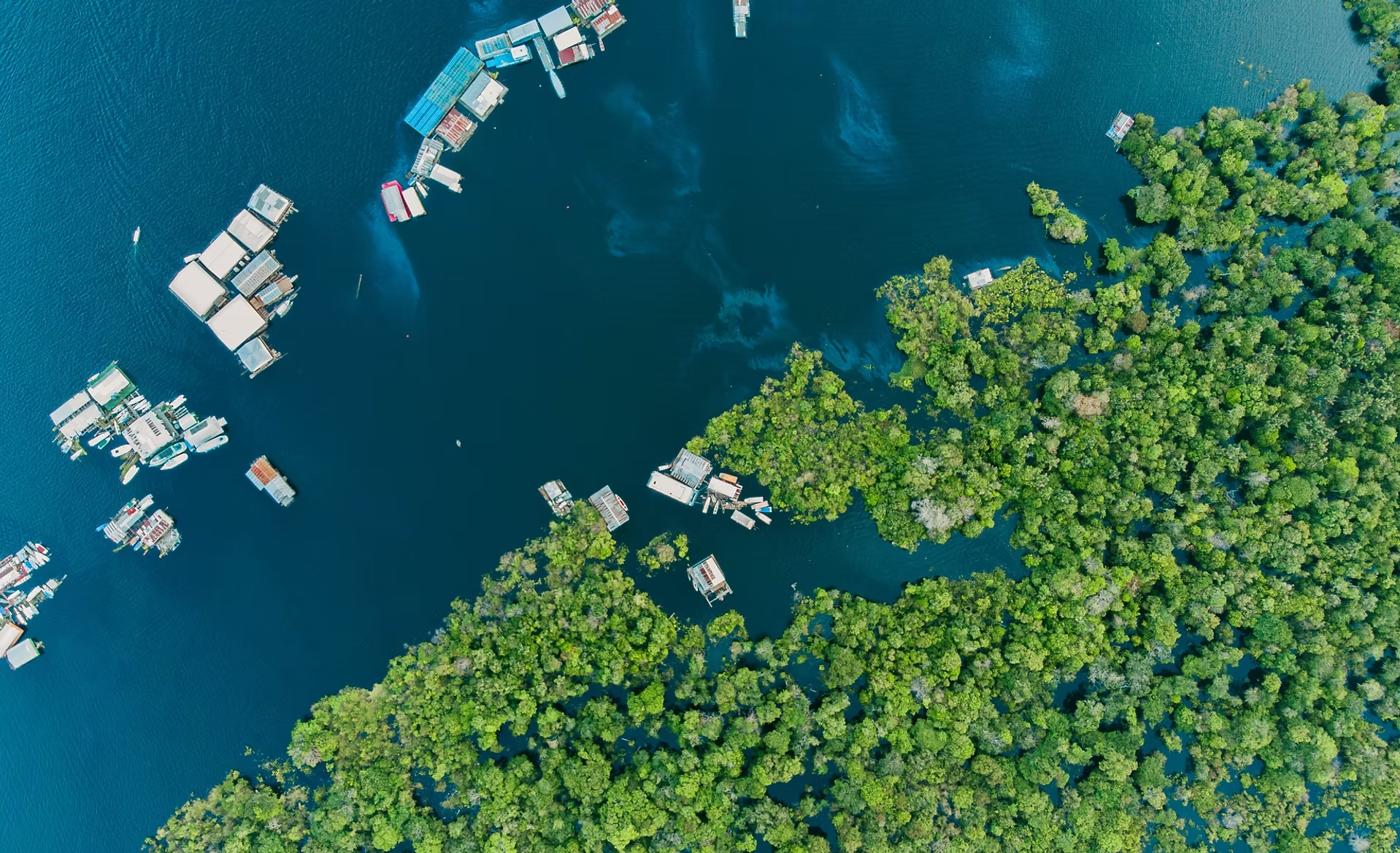 Vue aérienne d'une forêt dense avec une étendue d'eau et plusieurs maisons ou structures flottantes ou sur pilotis au bord de l'eau.