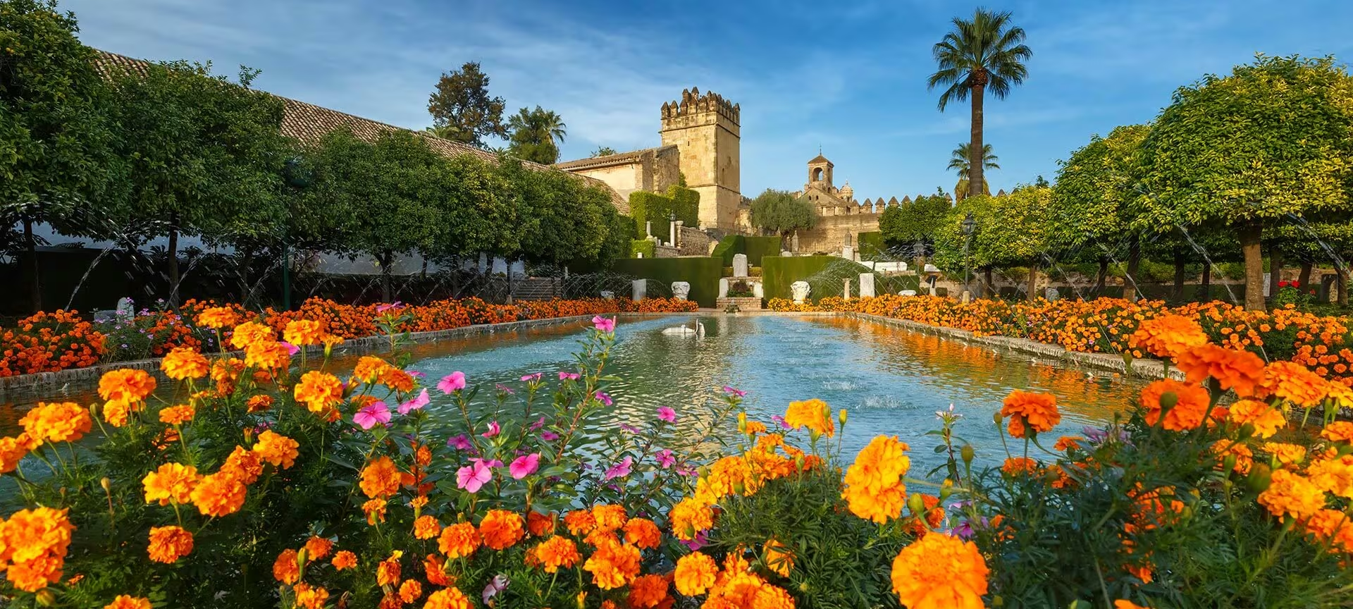 Jardin avec de nombreuses fleurs orange et roses, une fontaine et un château en fond.