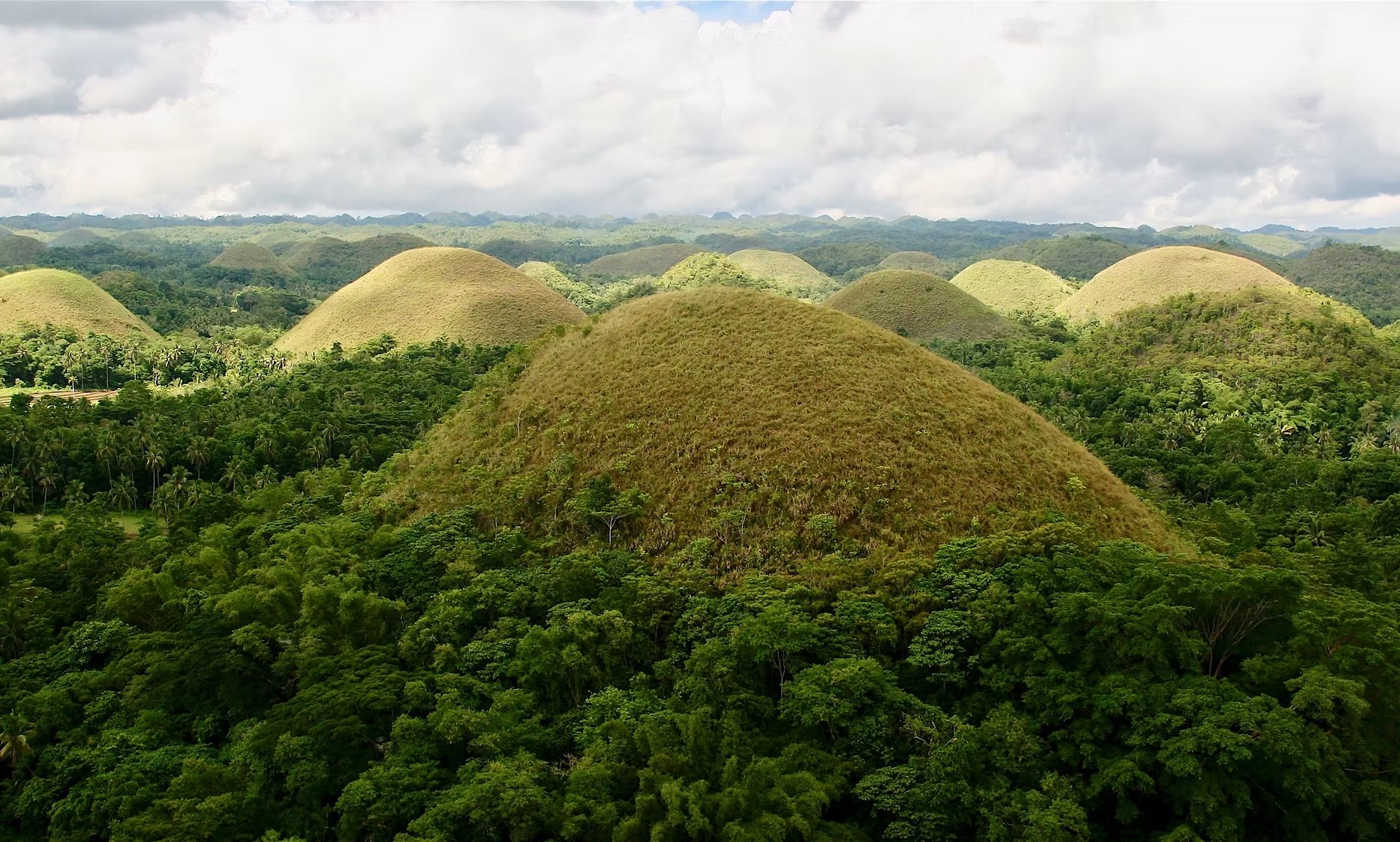 Paysage de collines verdoyantes avec une végétation dense sous un ciel nuageux.