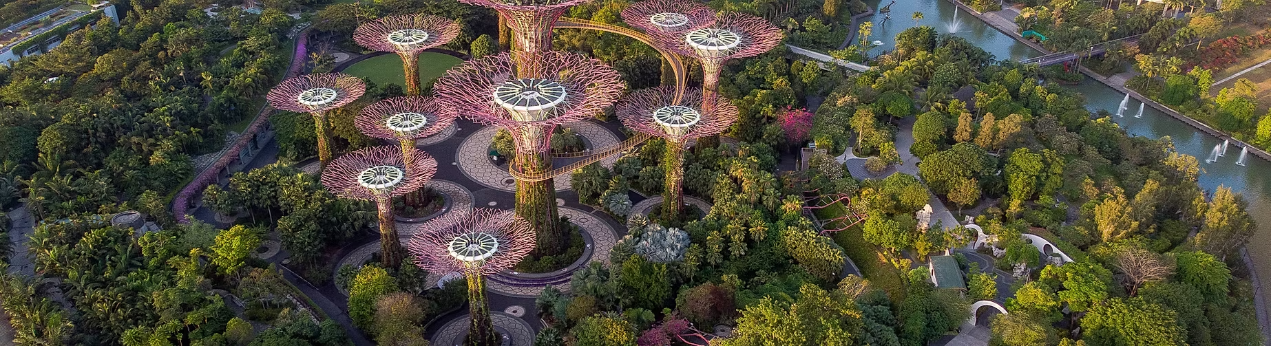 Une vue aérienne d'un parc avec des structures en forme d'arbres géants éclairés en rose, entouré de verdure et d'eau.