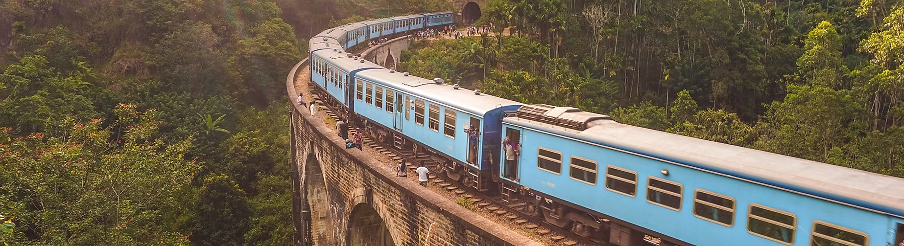 Un train bleu circulant sur un pont en pierre à travers une forêt dense en montagne.