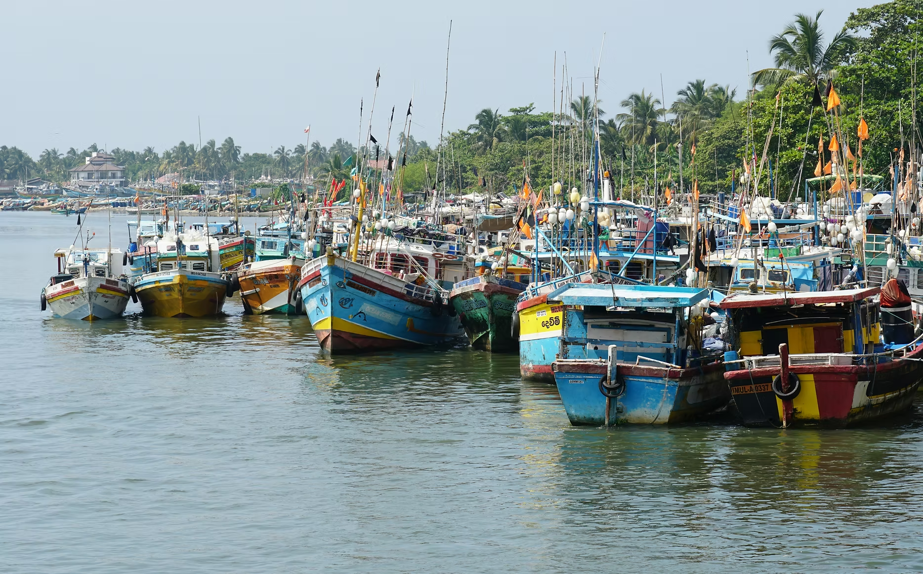 Une marina avec plusieurs bateaux de pêche colorés amarrés dans l'eau, entourée de palmiers et de végétation luxuriante.