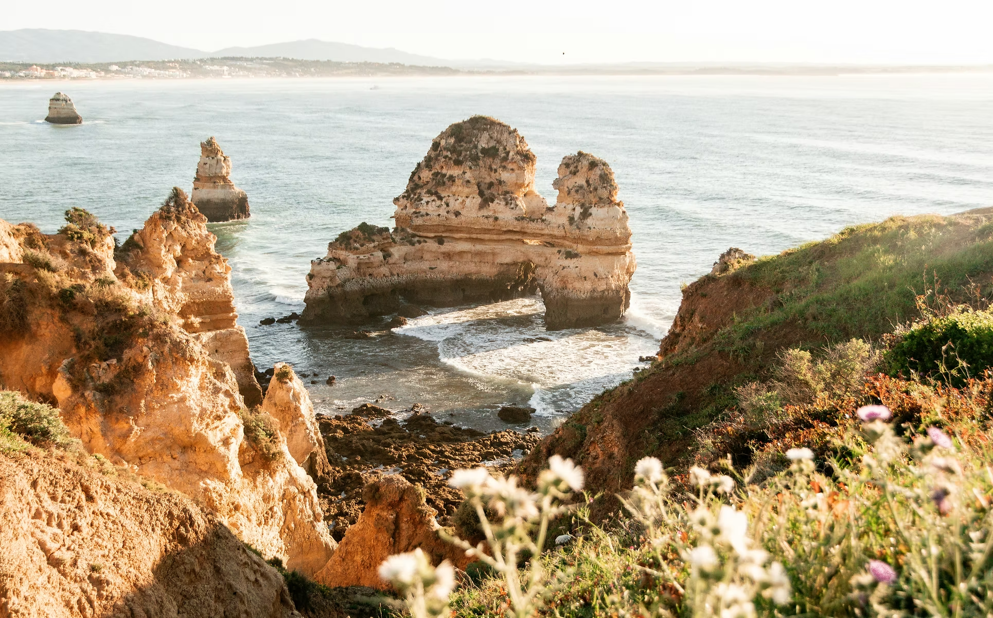 Célèbres formations rocheuses dans l'océan Atlantique, avec des falaises vertes et des fleurs au premier plan.