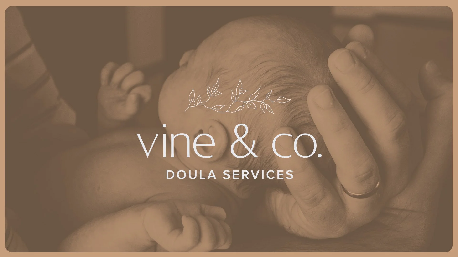Vine & Co.