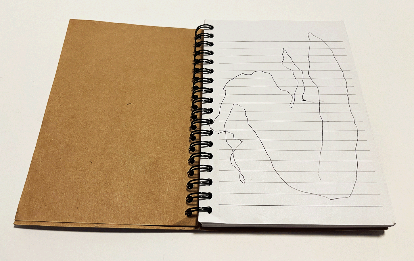 Knox Drawings.gif