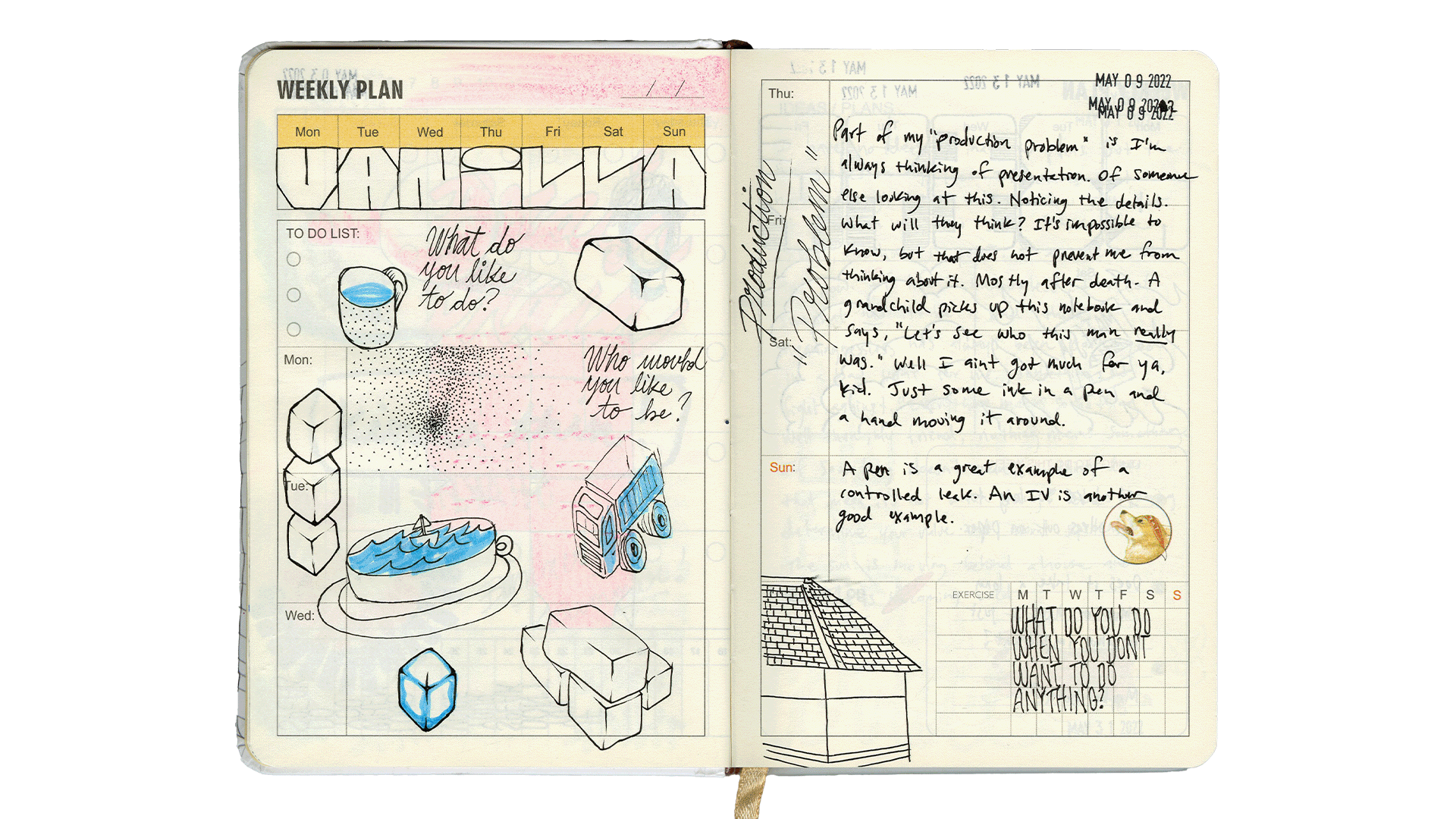 _Scans 3.gif