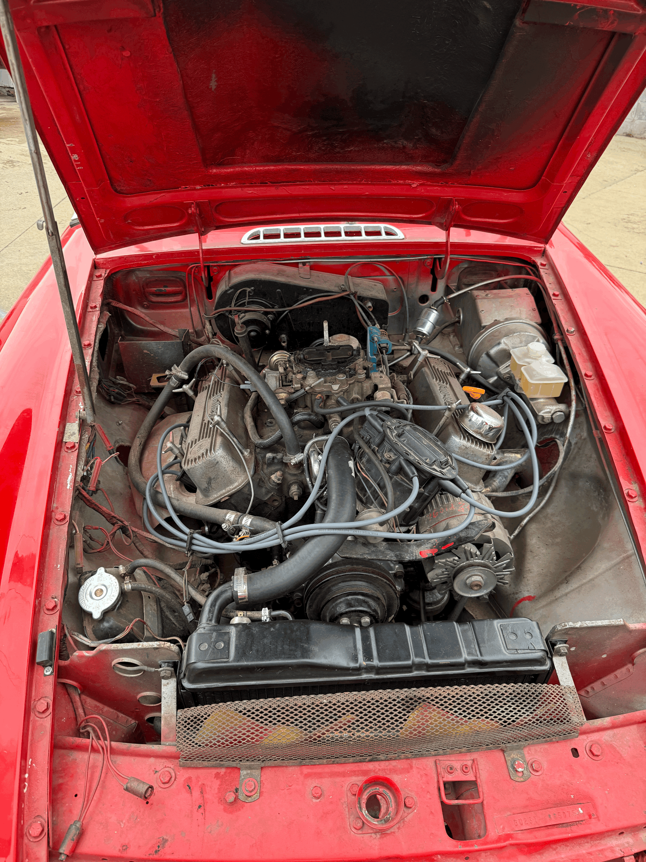 tempImage8vukex.gif