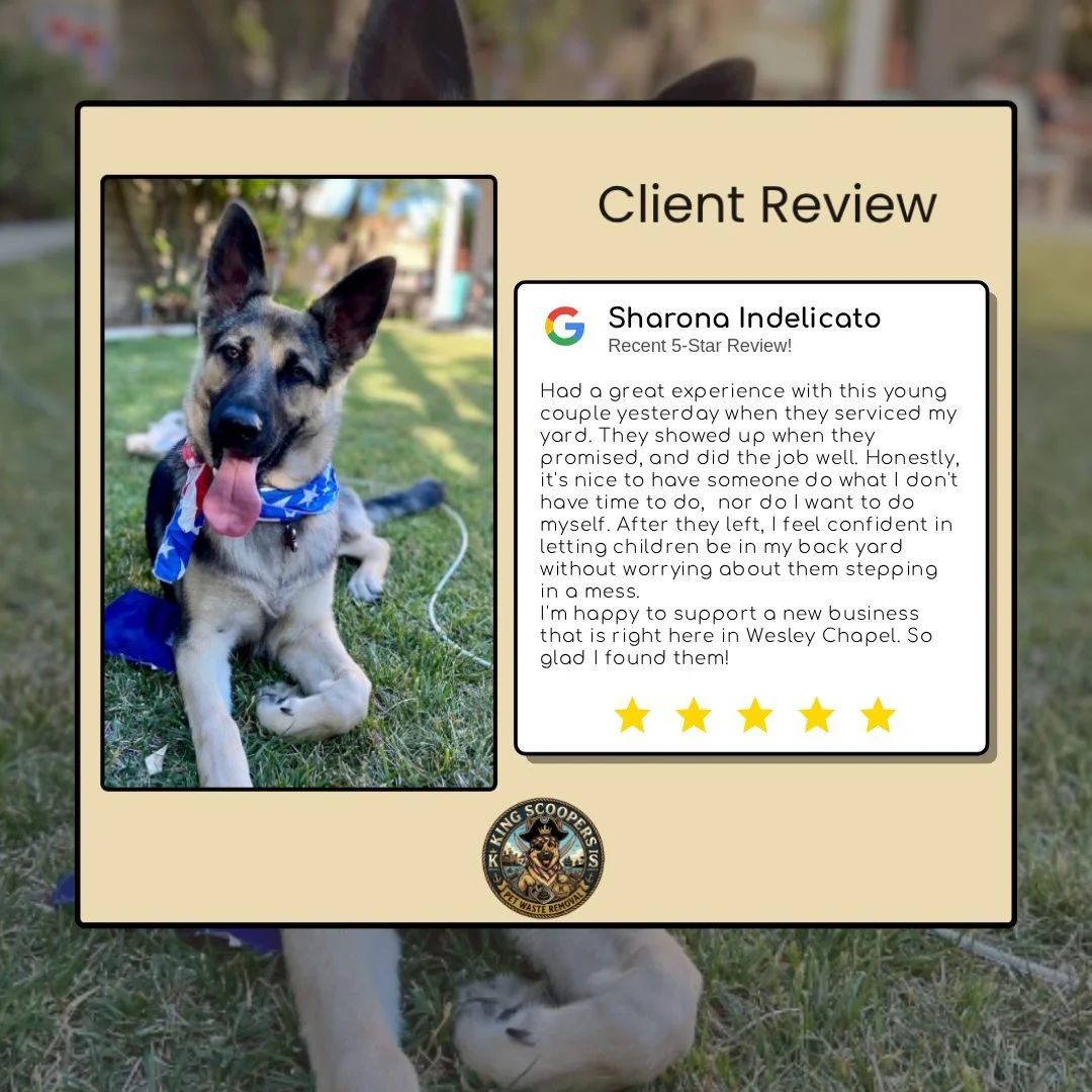 Thank you Sharon! We are so happy we could service your yard!