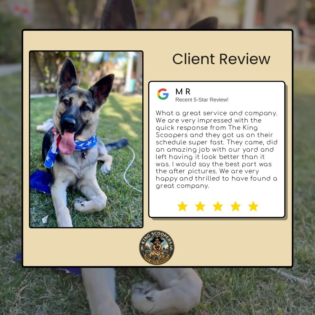 We're delighted to hear how happy you are with our service! Seeing your yard transformation brings us so much joy. Thank you for your kind words and for choosing us to take care of your yard.