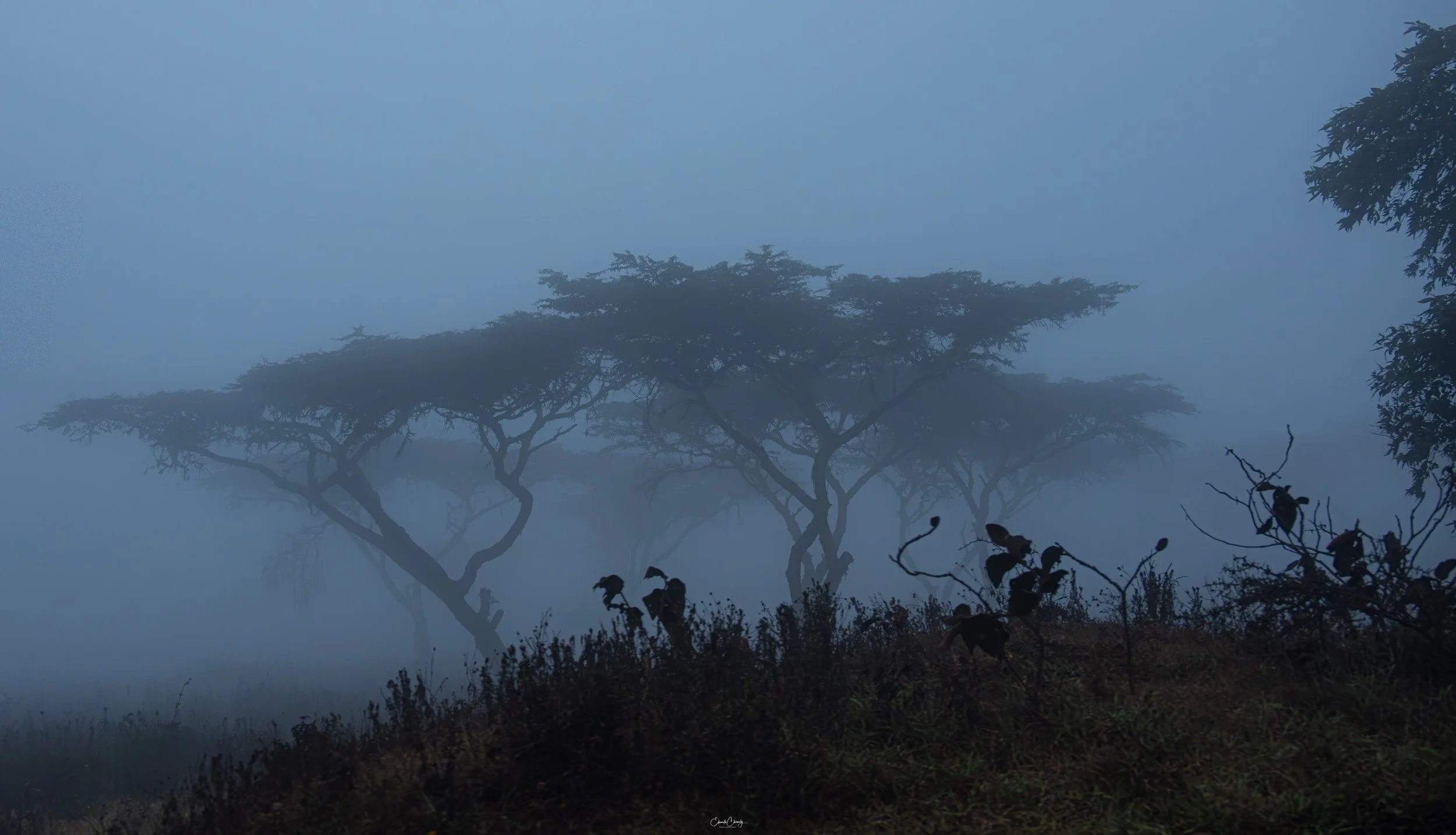 chimely-0200.jpg