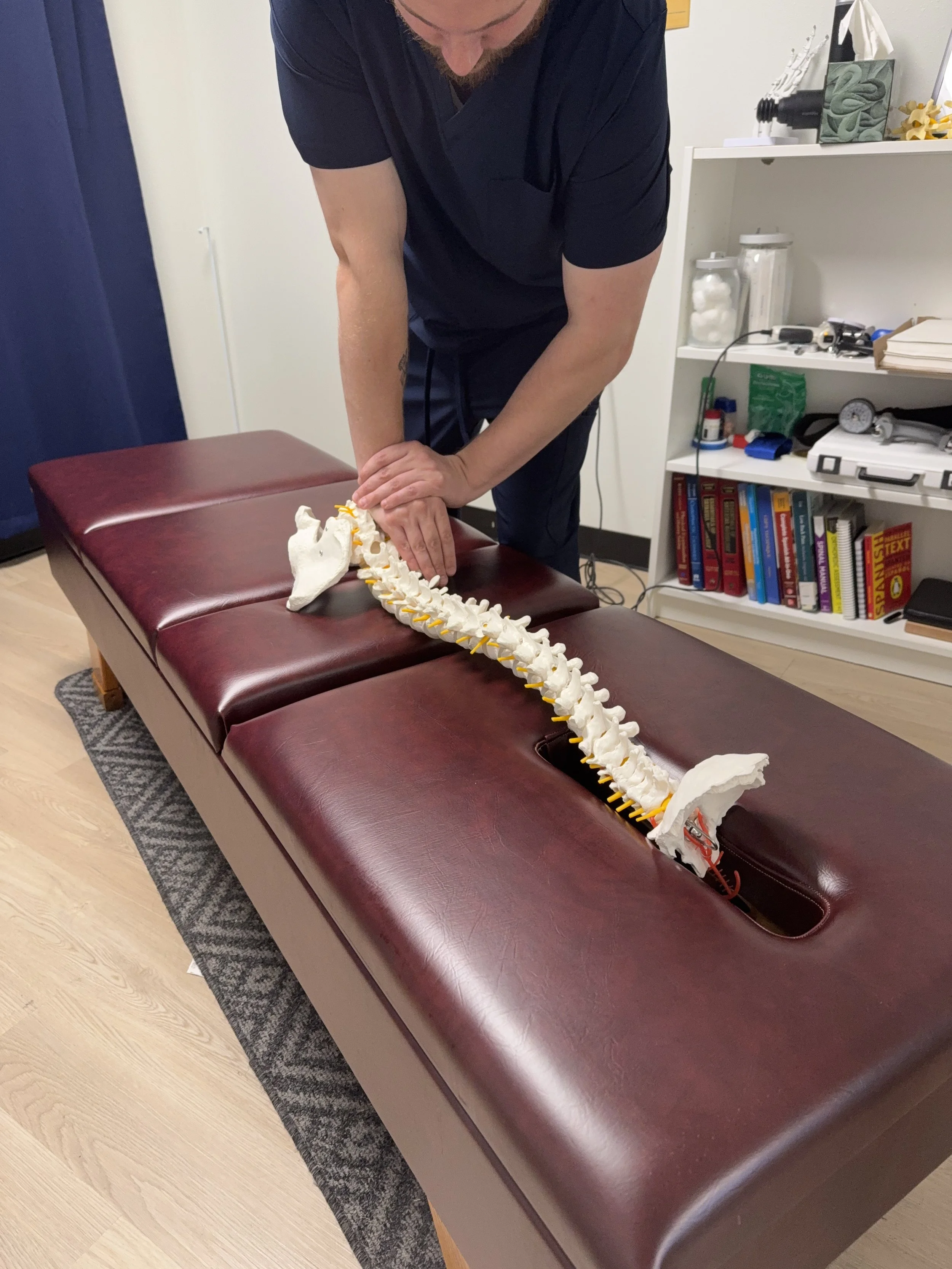 Dr. Cross demonstrating spinal anatomy with a spine model at Pacific Northwest Chiro