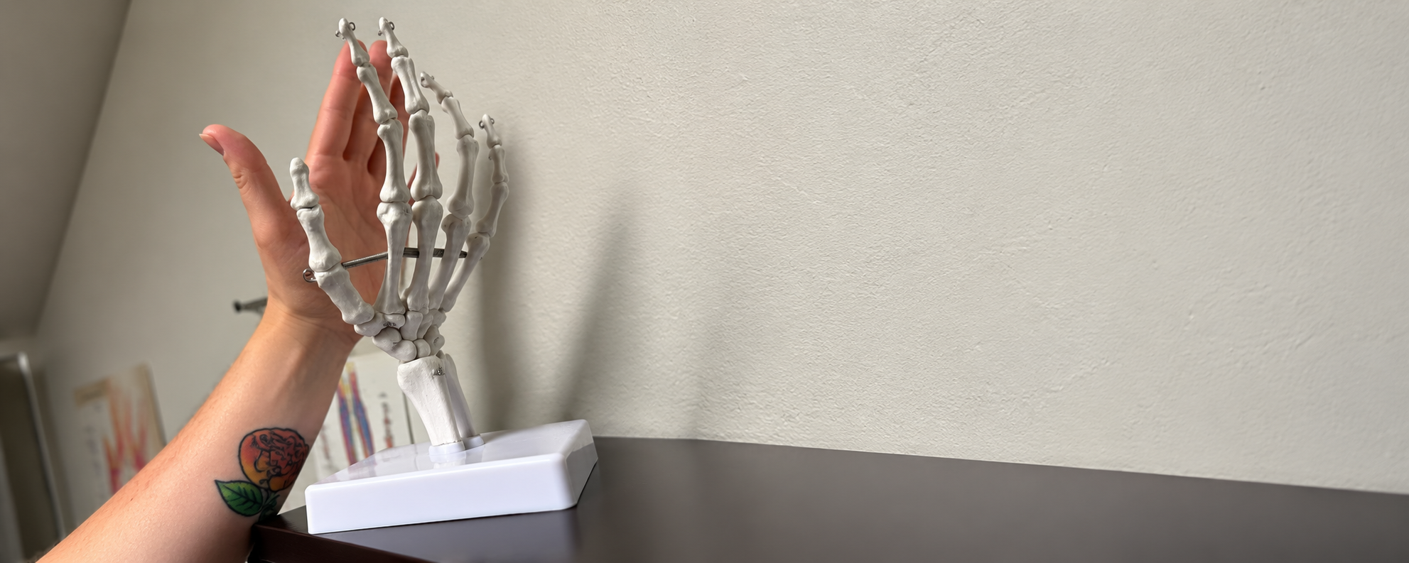 Hand high-fiving an anatomical hand model at Pacific Northwest Chiro