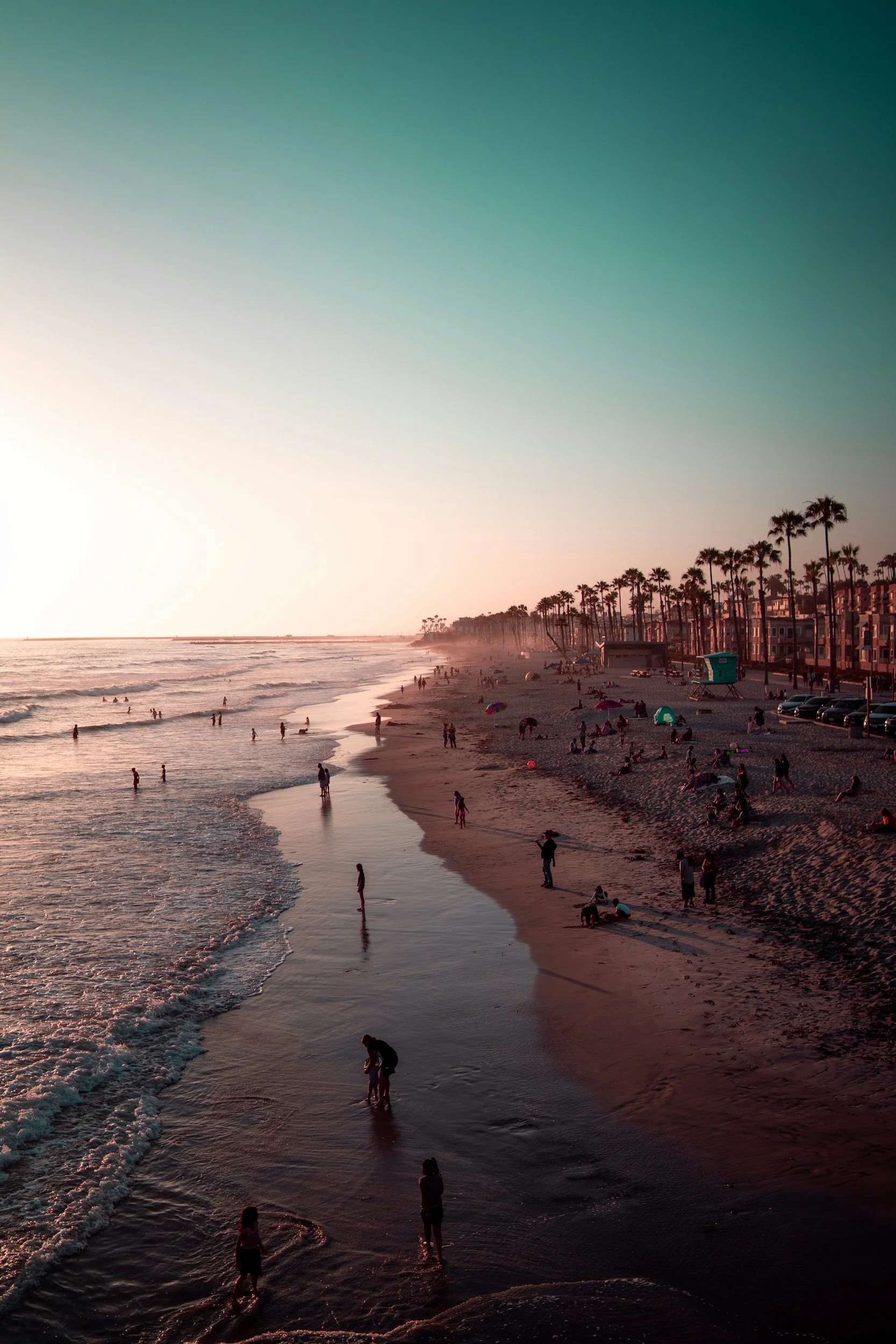 Sunset at the beach with people swimming and walking along the shoreline, tall palm trees lining the coast, and buildings in the background.