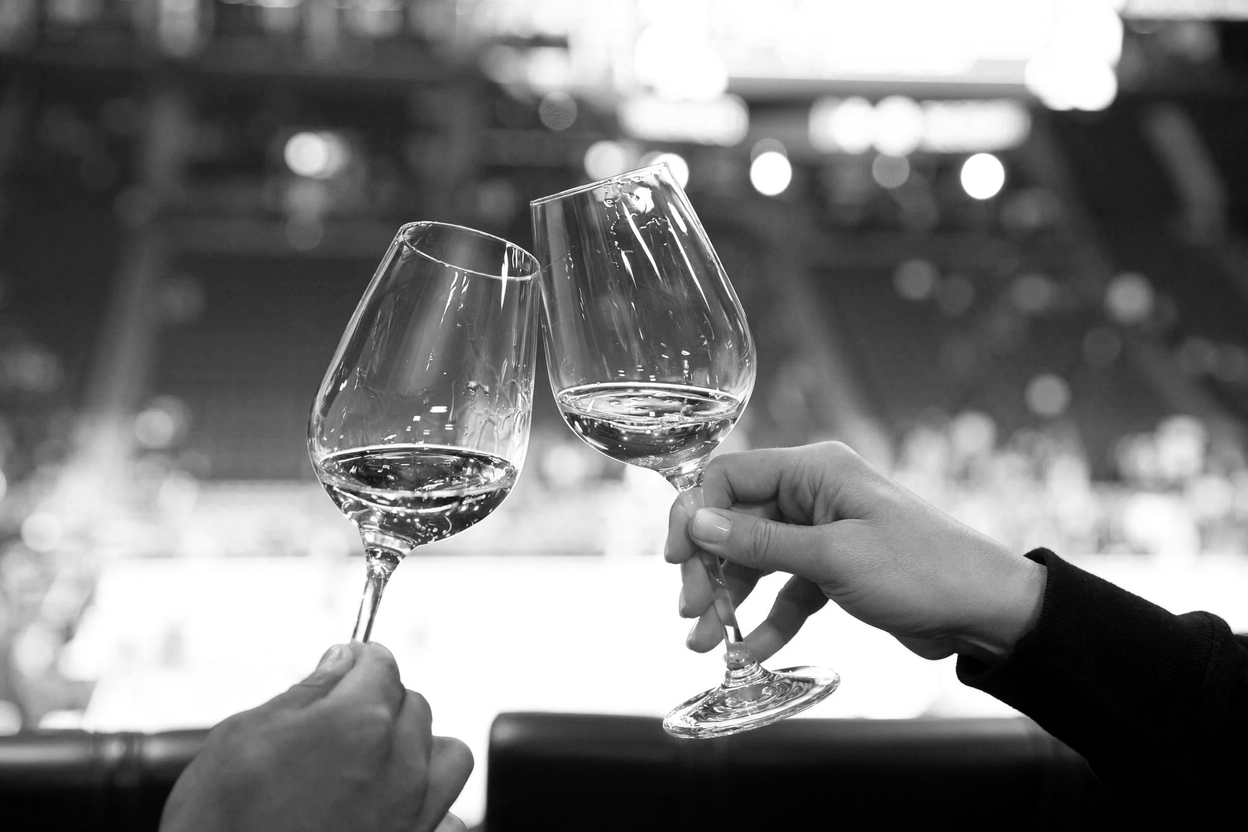 Guests raising wine glasses in a toast.