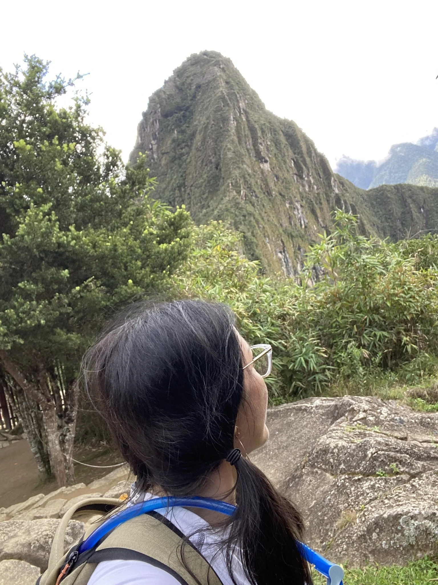 Machu Pichu, Peru Cynthia de la Luz, Cynthia Petti