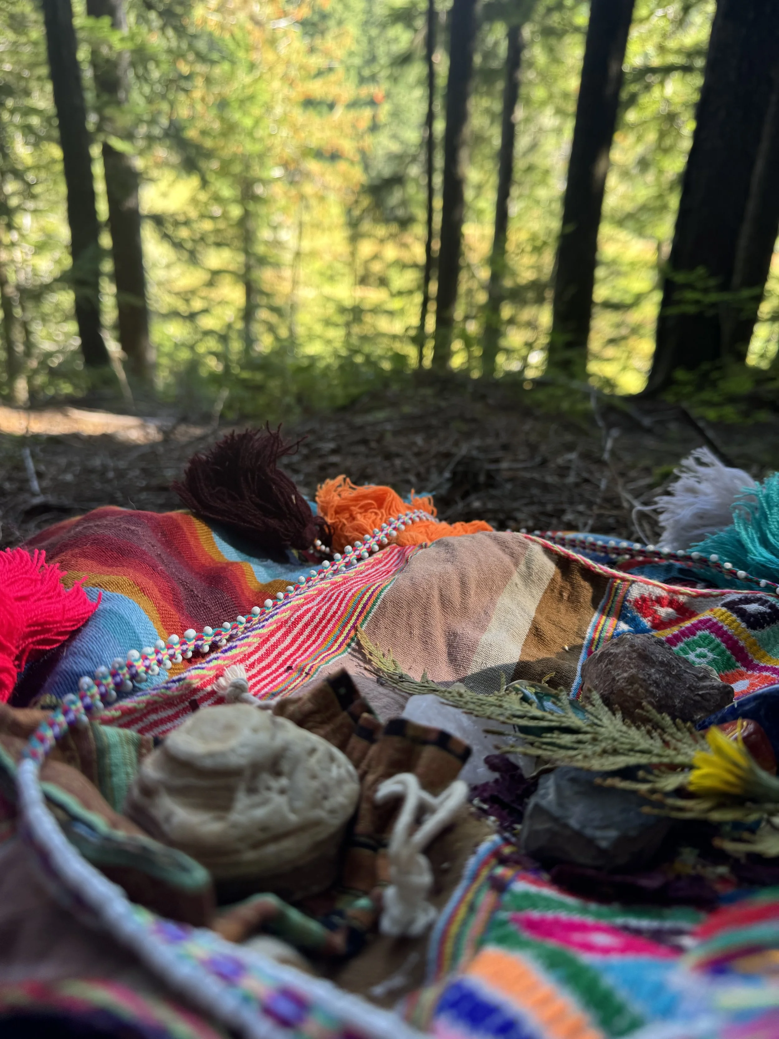 Personal Healing Mesa in the woods, Ashford WA