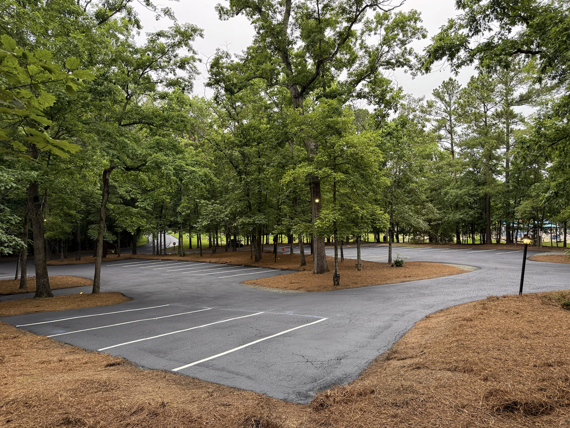 Wooded parking lot with freshly striped asphalt spaces, surrounded by tall pines and hardwoods