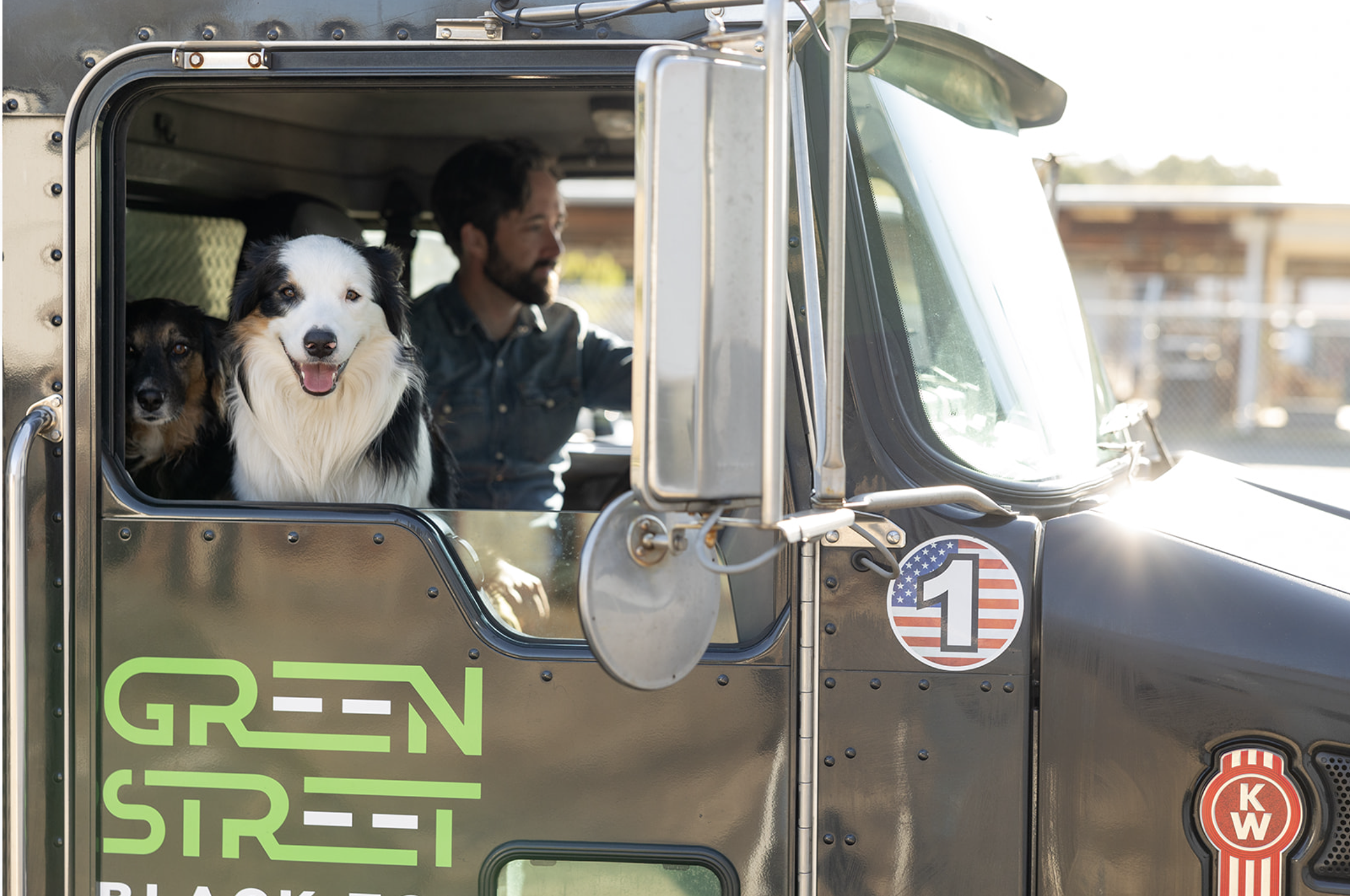 A man driving an asphalt repair truck with two dogs in the passenger side window. Text on the truck door says 'GREEN STREET BLACKTOP'.