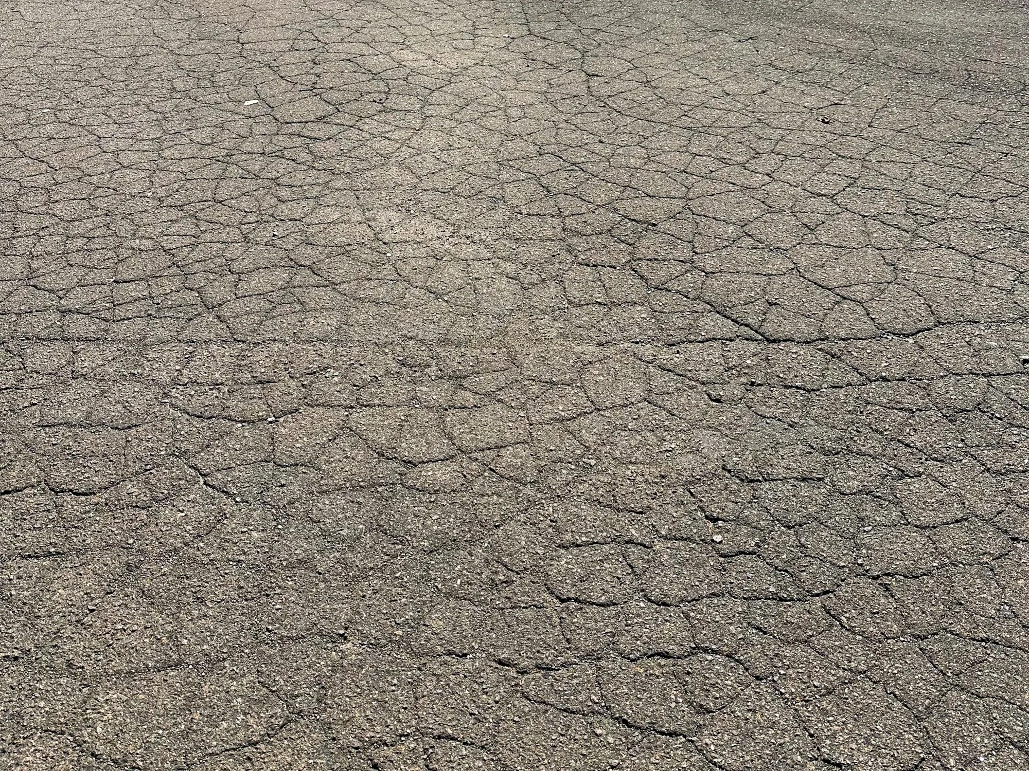 Faded gray asphalt surface covered in a web of fine alligator cracking.
