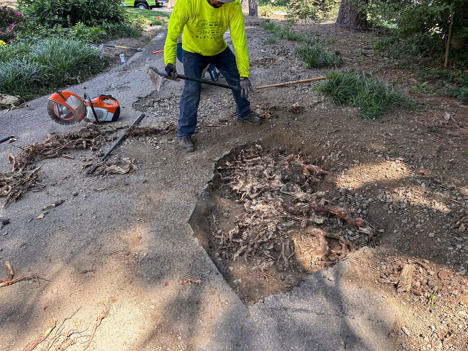 Green Street Blacktop crew member clearing tree roots from a cut-out section of cracked asphalt driveway