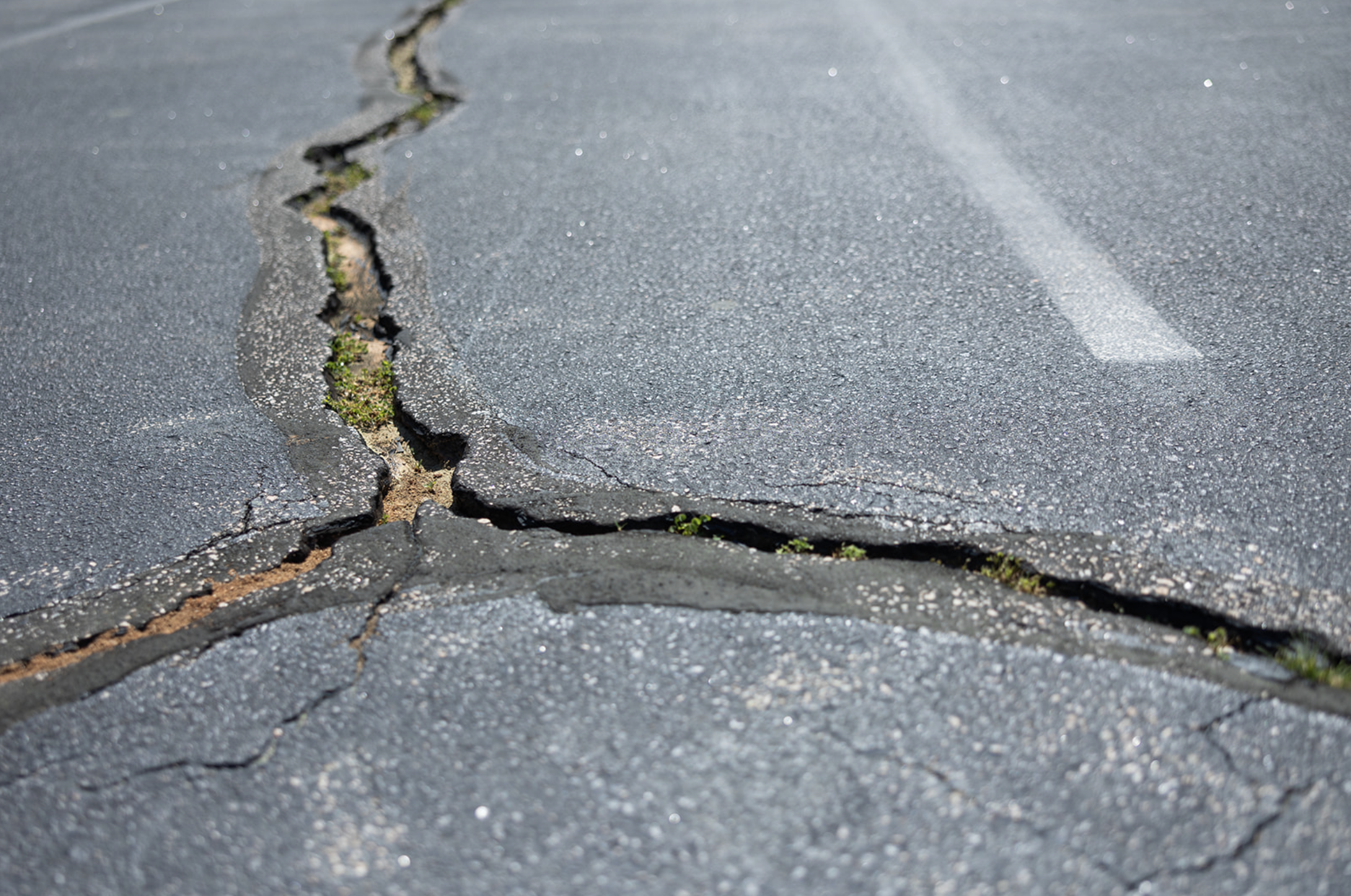 Close-up of cracked asphalt with small green plants growing in the crevices.