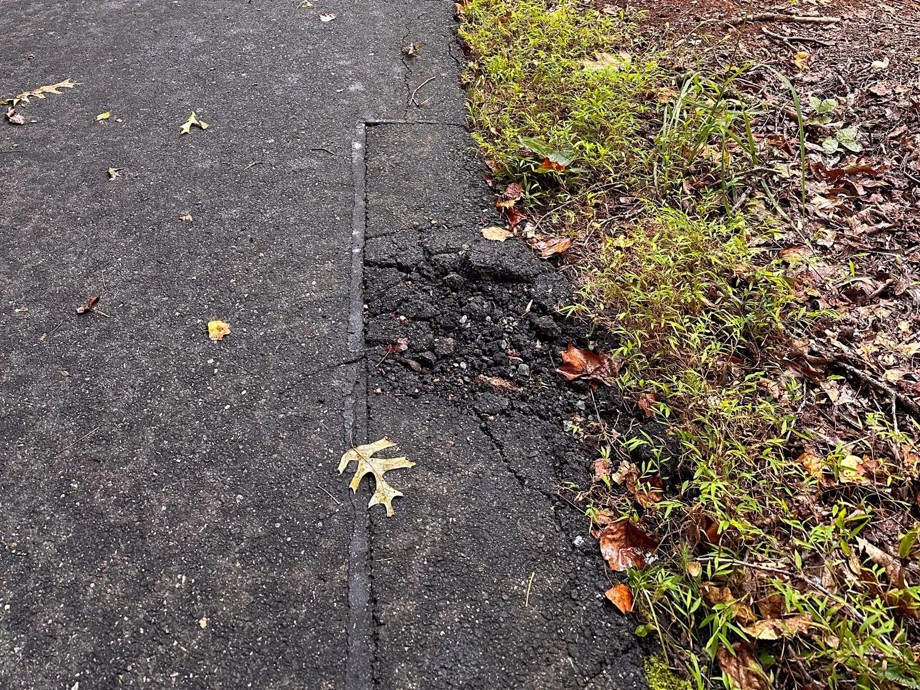 Close-up of a cracked asphalt edge near a grassy border, an early-stage crack that can widen into a pothole if left untreated.