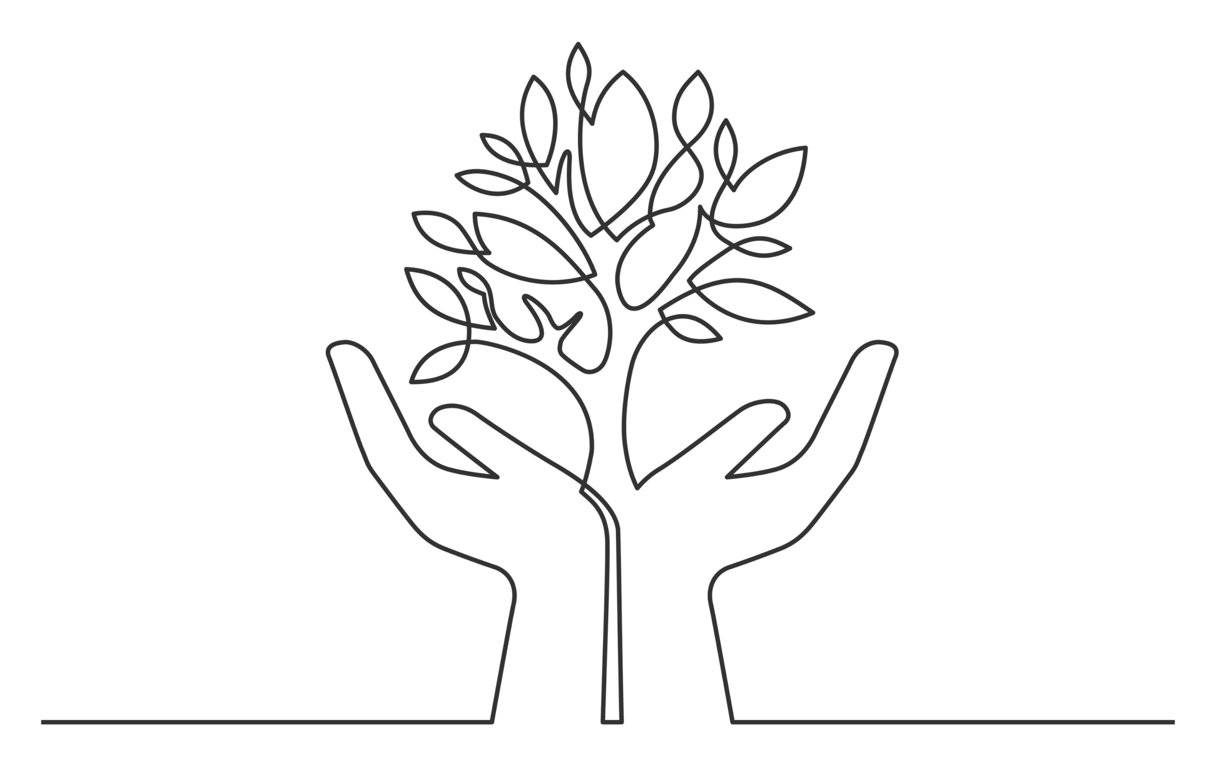 Line illustration of hands nurturing a growing tree, representing steady, hands-on guidance for growing nonprofit organizations