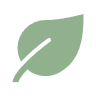 A green leaf.